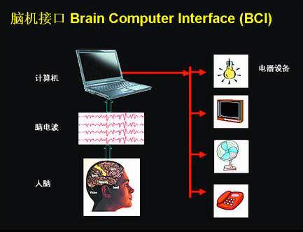 脑机接口（BCI） 脑机接口 